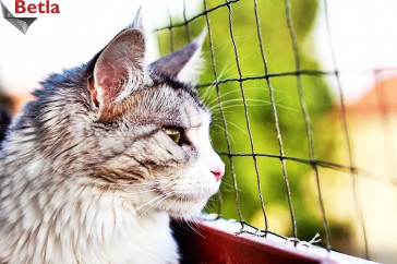 Siatki Szubin - Siatka zabezpieczająca okna przed kotem dla terenów Szubina